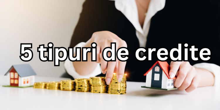 5 tipuri de credite